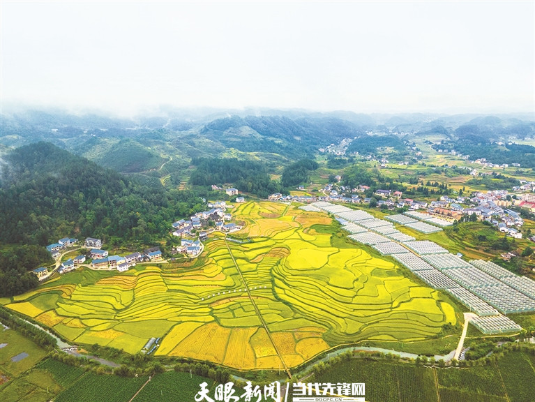 花茂村田園風(fēng)光美如畫。 羅星漢 攝.jpg