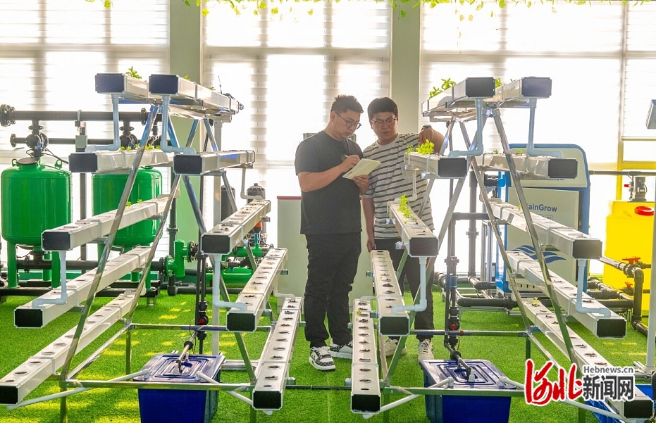 近日，在秦皇島小馬物聯(lián)網科技有限公司展廳，工作人員在商討如何進行產品優(yōu)化。  河北日報記者 趙杰攝.jpg